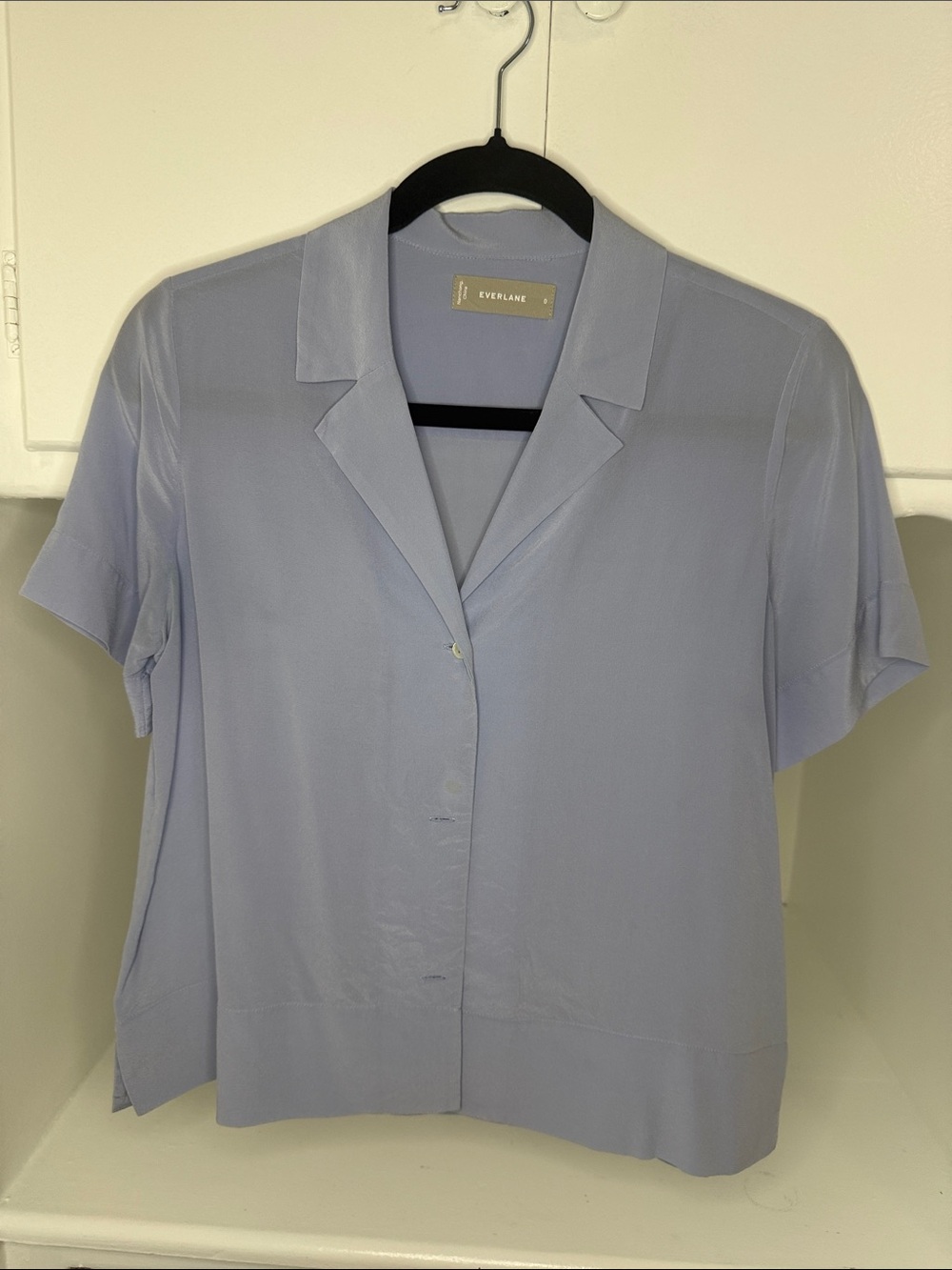 Everlane Notch Shirt Washable Silk Sz 0